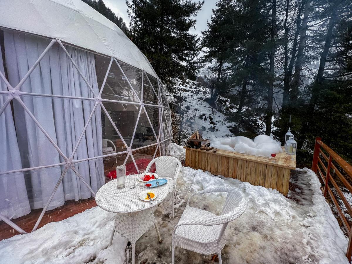 Glamping Club — Photos 3