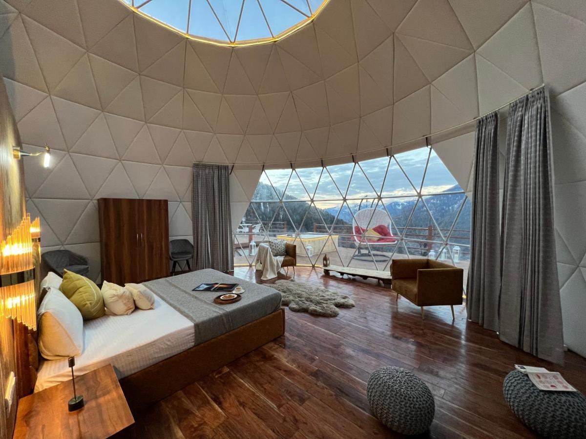 Glamping Club, Manali